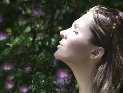 Emotional Balance Healing Frequencies