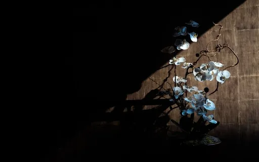 Emotional Check-In & Mood Regulation