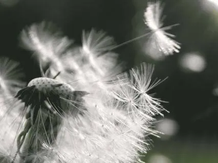 Emotional Detachment Subliminal: Stop Overthinking & Let Go