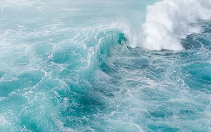 Emotional Detox & Anxiety Cleanse (639Hz)