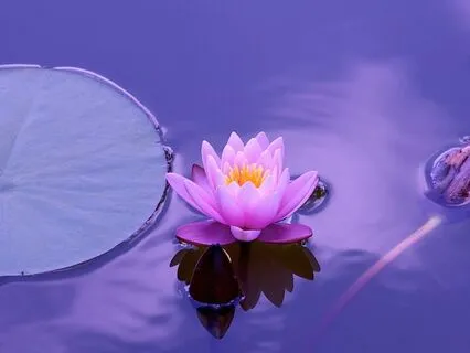 Emotional Ease: A Practice For Inner Balance