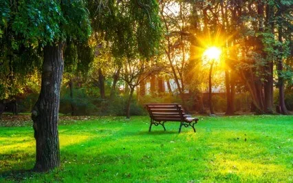 Emotional Eating- Self-Discovering The Root Cause