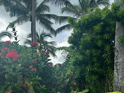 Emotional Enslavement