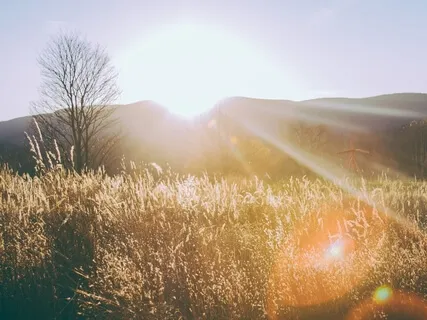 Emotional Freedom At Our Fingertips - An Interview With Brad Yates