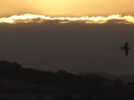 Emotional Freedom - Deep Shadow Work For Emotional Healing