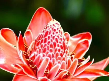 Emotional Freedom: Let Go And Feel Peace