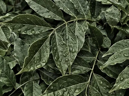 Freedom From Your Emotions