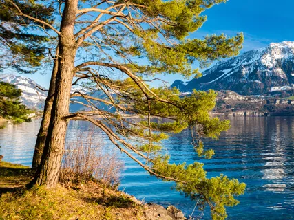 Emotional Freedom Technique - Talking About The Basics Of This Psychosomatic Work