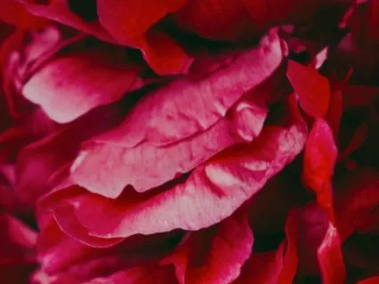 Emotional Grounding in C: Simplicity (Root Chakra)