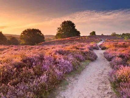 Emotional Healing After C-Section: A Yoga Nidra Practice