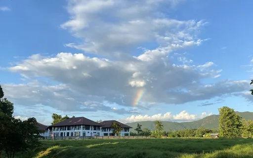 Emotional Healing Exercise Class 6: In Depth Action