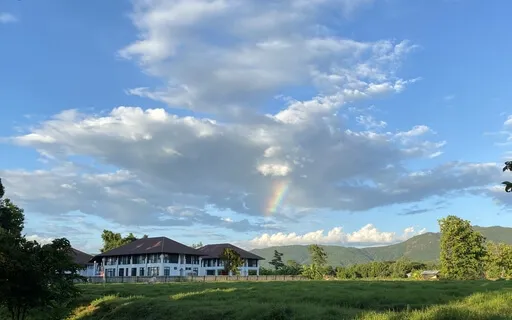 Emotional Healing Exercise Module 2 Cl1 Reflections On Guilt