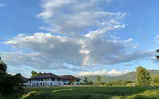 Emotional Healing Exercise Module 2 Class 1: Observing Guilt