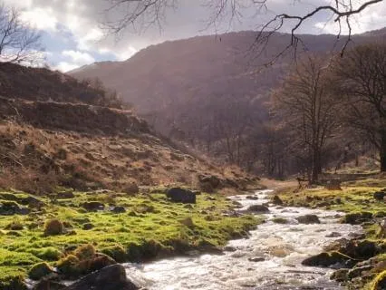 Emotional Healing For Over-thinkers