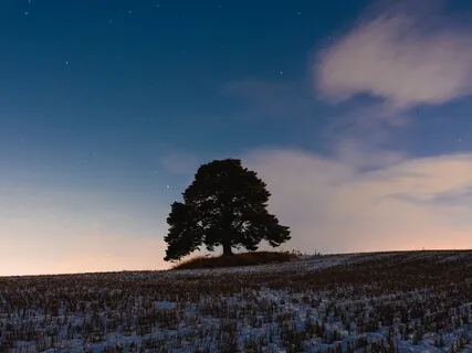Emotional Healing - Ho'oponopono Meditation