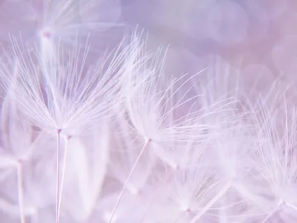 Emotional Healing - Joya'thu Rayai - Sound Healing