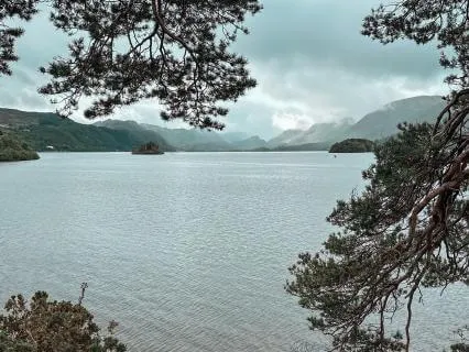 Emotional Healing & Letting Go Meditation