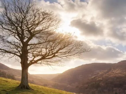 Emotional Healing Meditation For Inner Safety