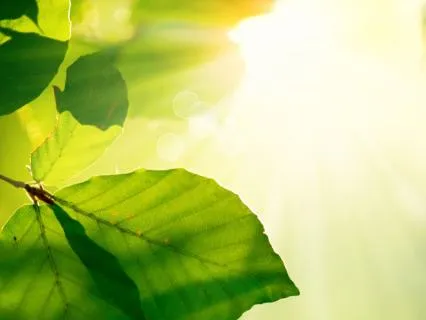 Emotional Heart Healing: Restore Peace & Happiness