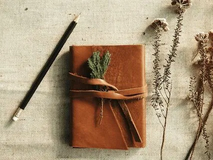 Emotional Intelligence & Mind-Body Connection (2)