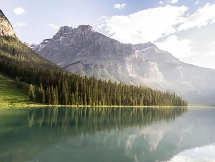 Emotional Overload And Anxiety