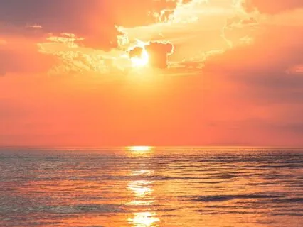 Nervous System Reset 8Hz Alpha