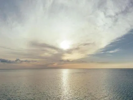 Emotional Overwhelm: Calm And Center With Reiki Energy