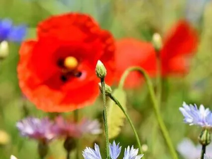 Emotional Power & Inner Security Affirmations