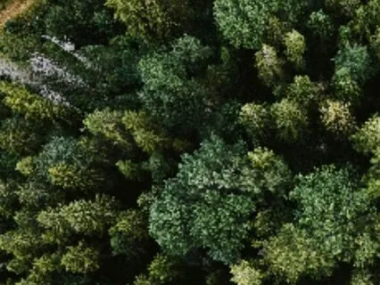 Emotional Processing Technique