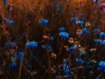 Emotional Reactivity: Enduring The Fire