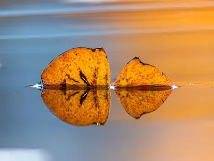 Emotional Release: Burden | Daily Energy Healing