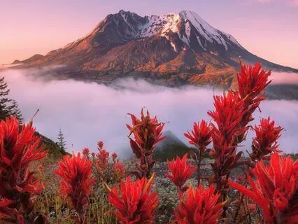 Emotional Release & Dream Clarity | 5.5 Hz Theta Waves