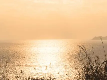 Emotional Release: Feel, Accept, Release