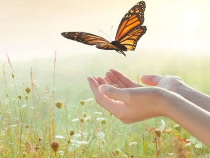 Emotional Release Meditation