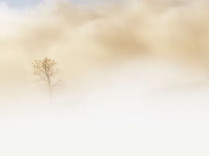 Emotional Release Meditation