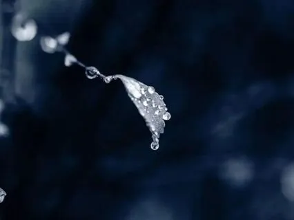 Emotional Release: Perfectionism | Daily Energy Healing