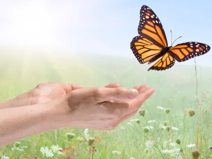 Emotional Release Podcast