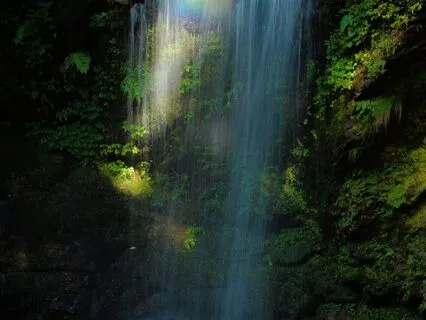 Emotional Release Sound Bath (432 Hz)