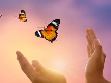 Emotional Reset For A Heavy Day