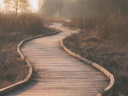 Emotional Resilience: Day 4 - A Moving Meditation