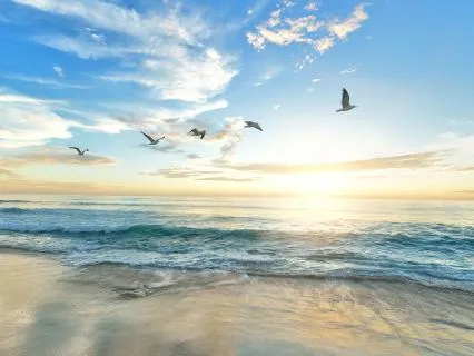 Emotional Resilience