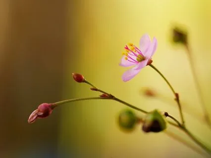 Emotional Support For Navigating Grief