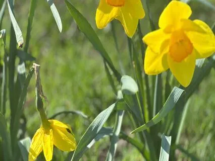 Emotional Support  For Your Pelvic Floor Journey