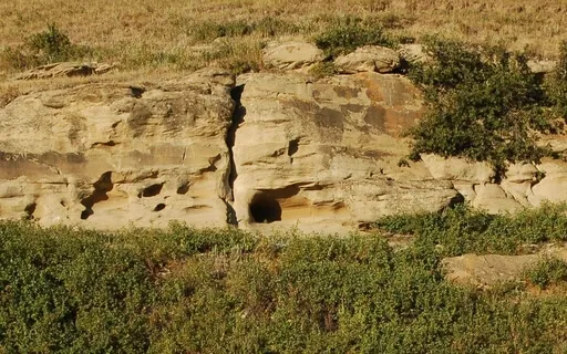 Emotional Ups And Downs