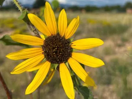 Emotional Urgency Vs. True Urgency