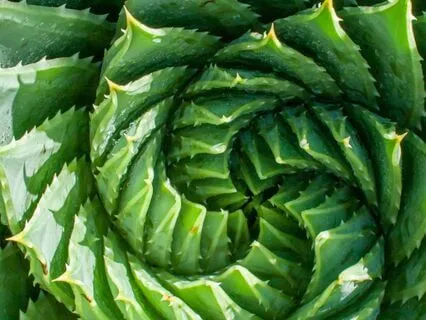 Emotional Washcycle Meditation