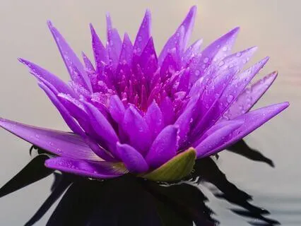 Emotionally Reconnecting With Yourself