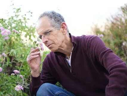 Emotions Are Not A Threat