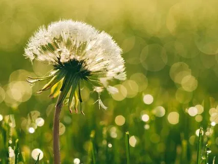 Empath: Emotional Reset For Overwhelm