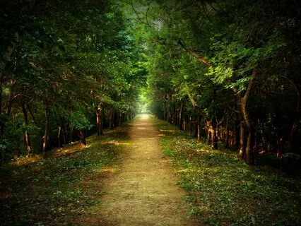 Empath Energy Protection Activation